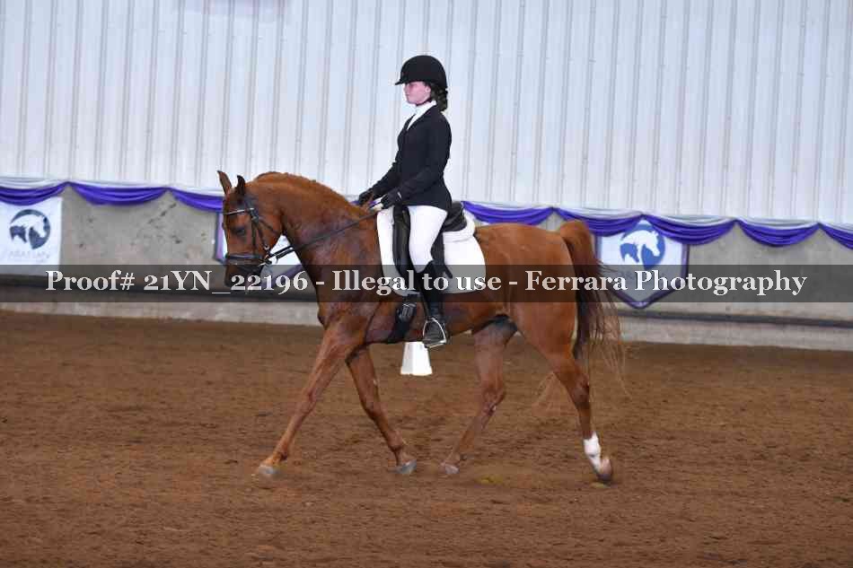 Proof 21YN_22196