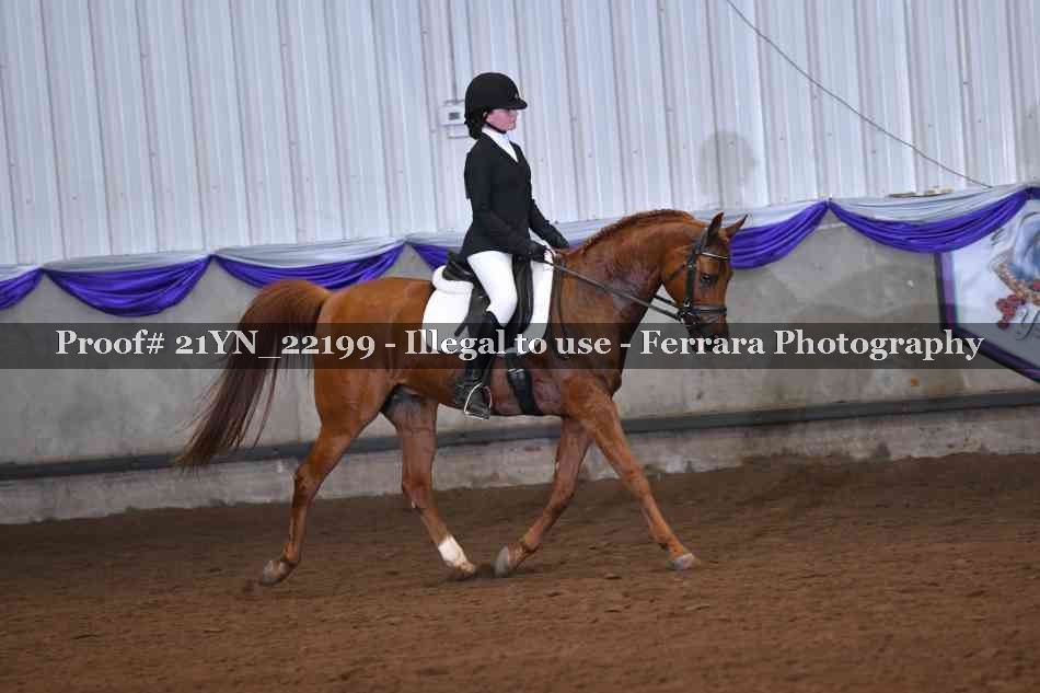 Proof 21YN_22199