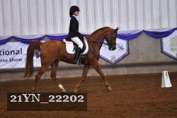 21YN_22202 proof