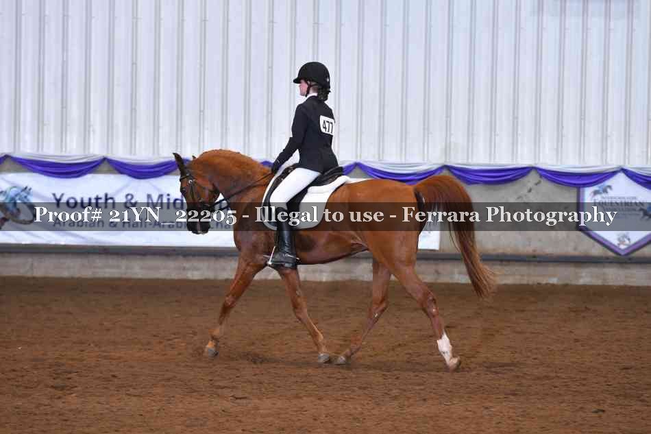 Proof 21YN_22205