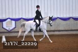 21YN_22229 proof