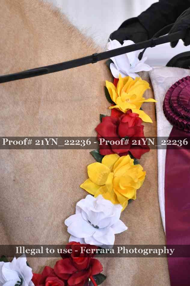 Proof 21YN_22236
