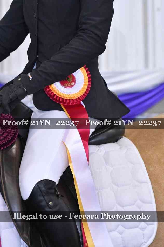 Proof 21YN_22237