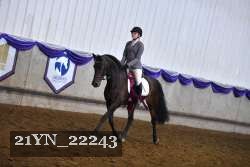 21YN_22243 proof