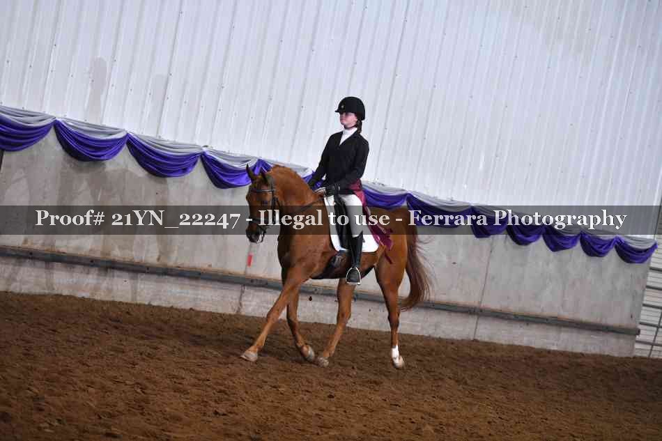 Proof 21YN_22247
