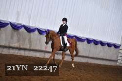 21YN_22247 proof