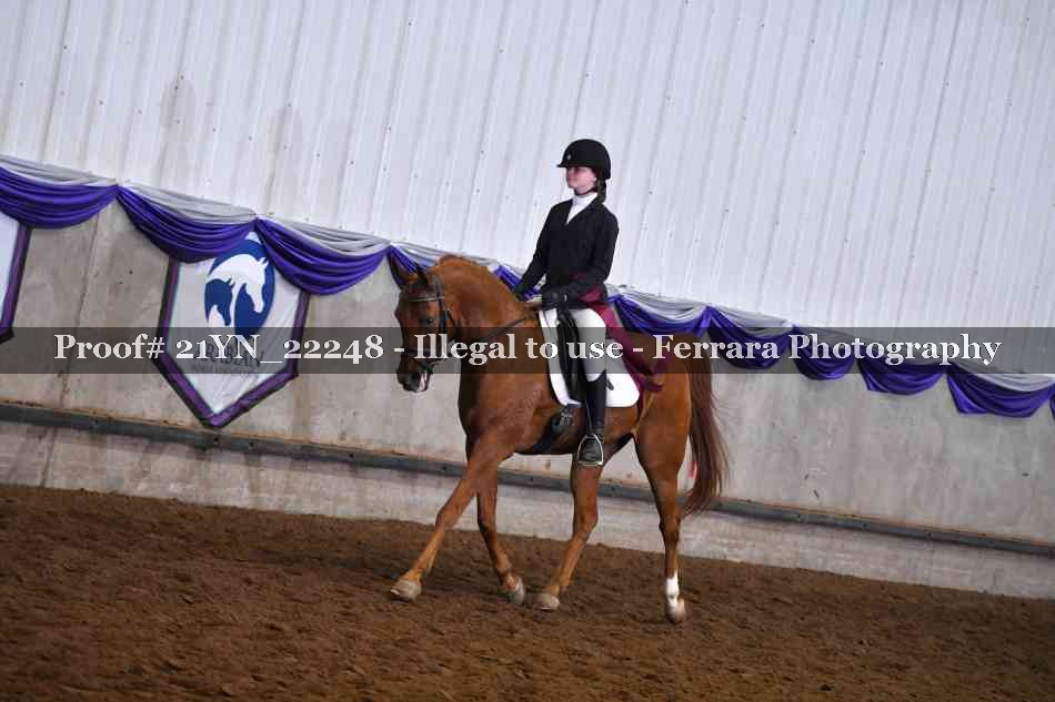 Proof 21YN_22248