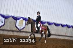21YN_22254 proof