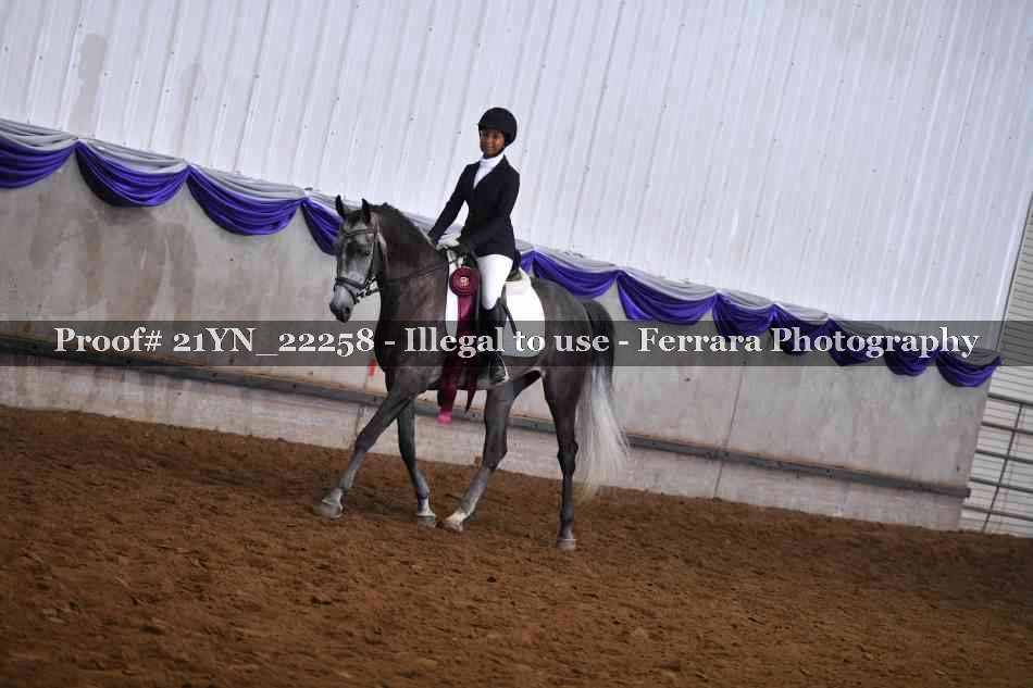 Proof 21YN_22258