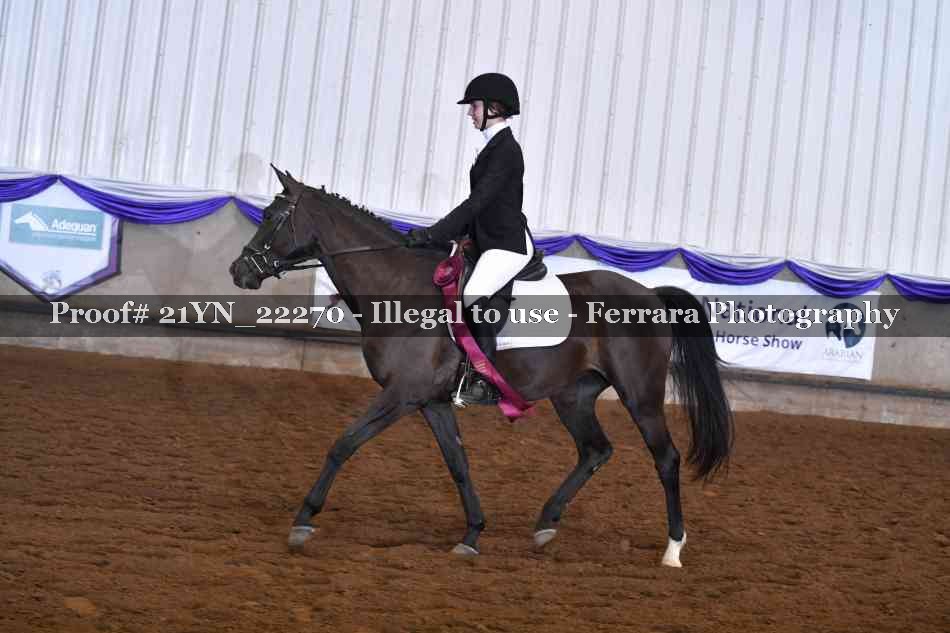 Proof 21YN_22270