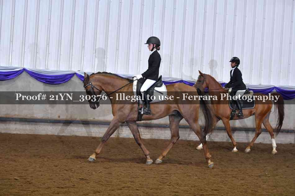 Proof 21YN_30376