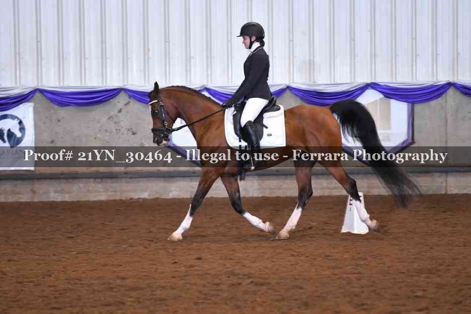Proof 21YN_30464