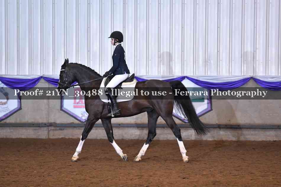 Proof 21YN_30488