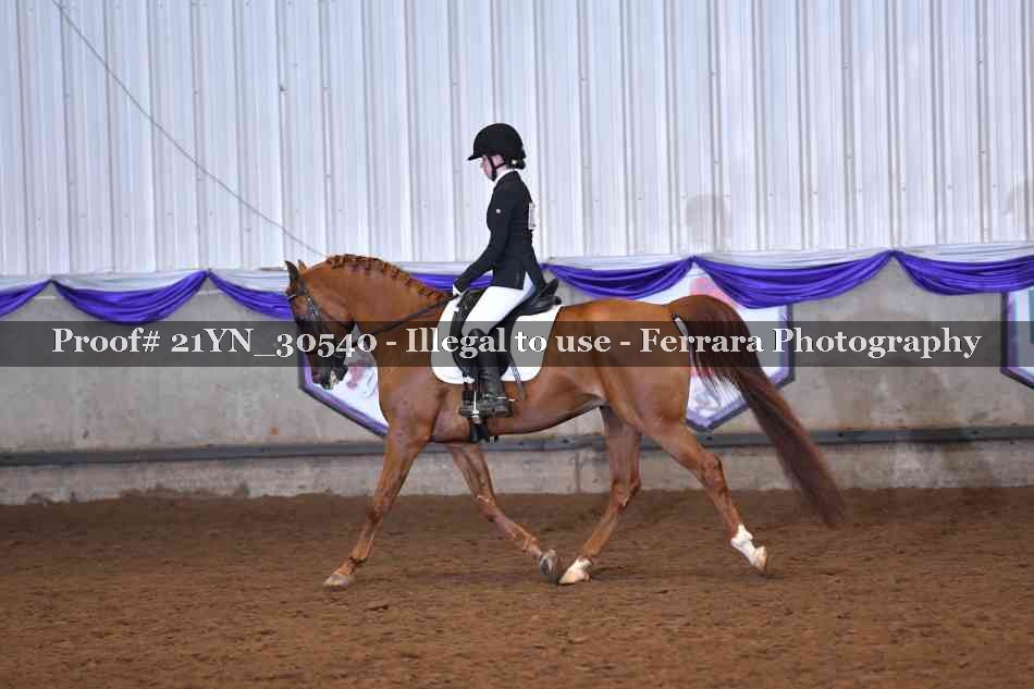 Proof 21YN_30540
