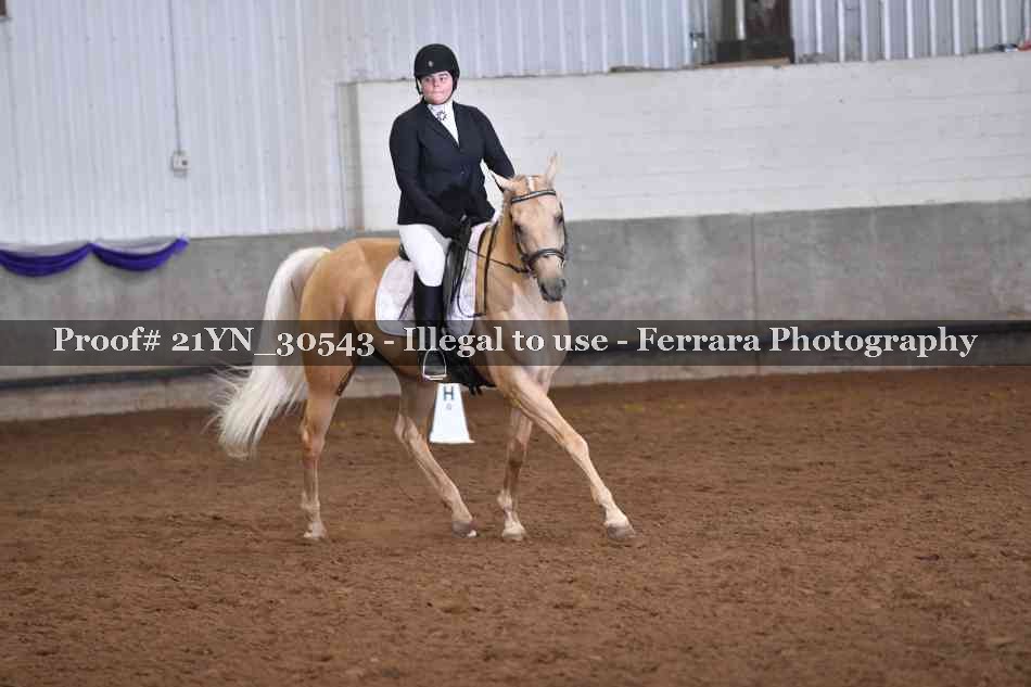Proof 21YN_30543