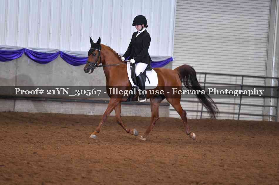 Proof 21YN_30567