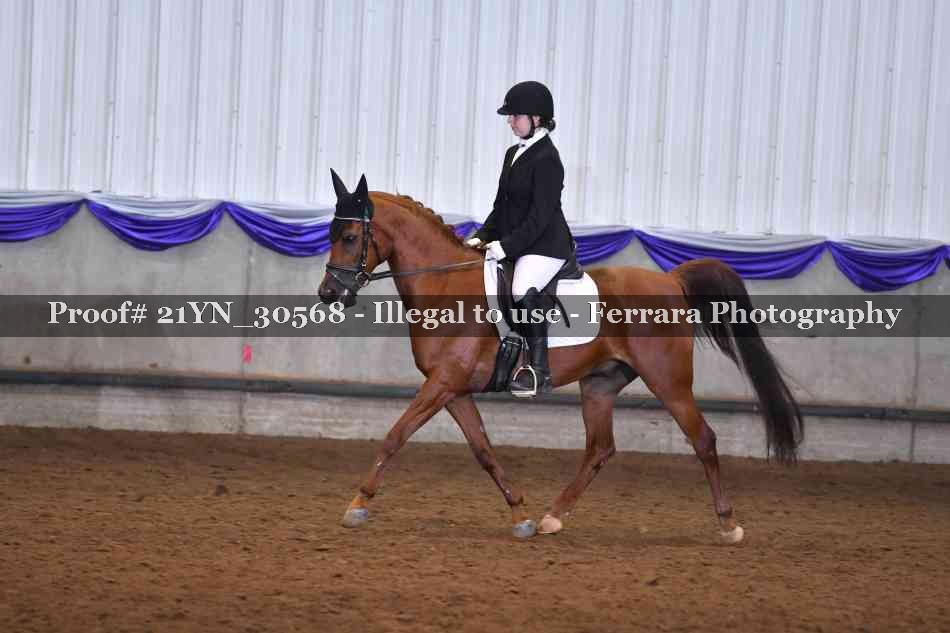 Proof 21YN_30568