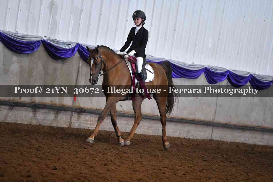 Proof 21YN_30672