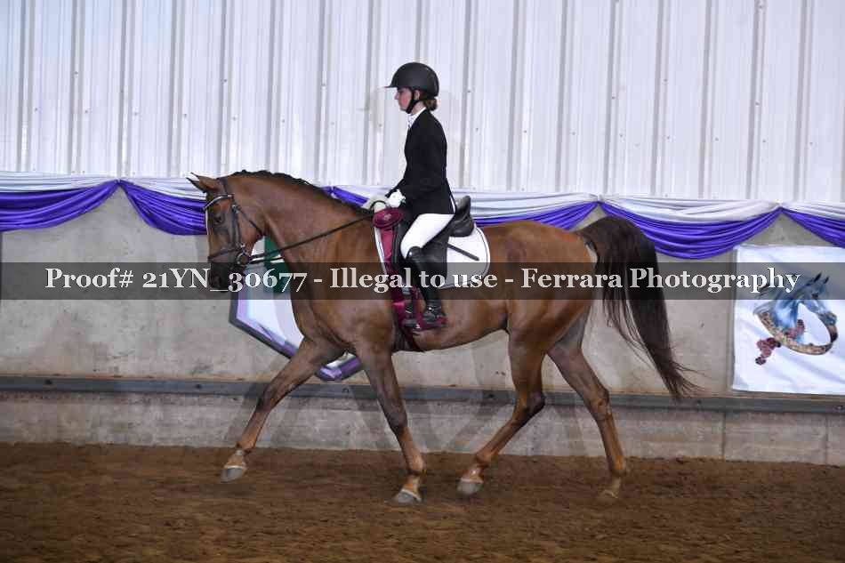 Proof 21YN_30677