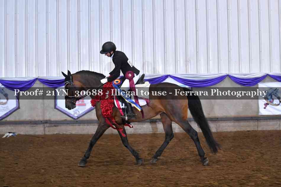 Proof 21YN_30688