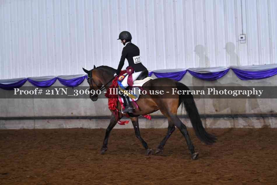 Proof 21YN_30690