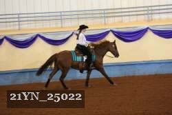 21YN_25022 proof