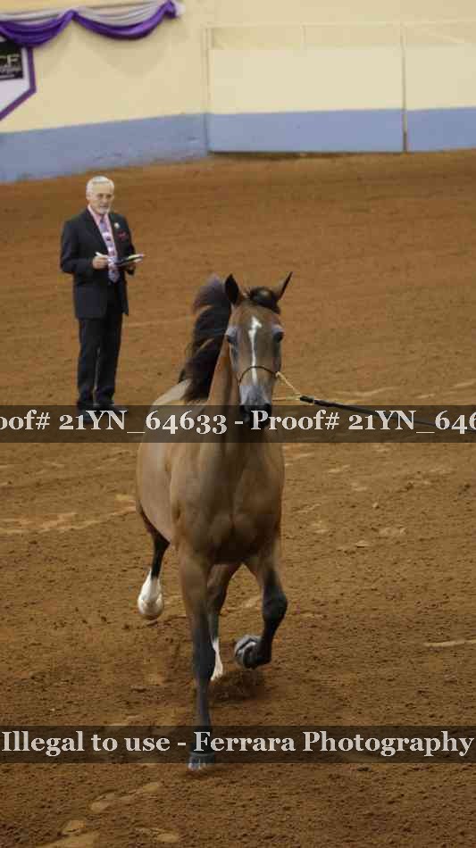Proof 21YN_64633