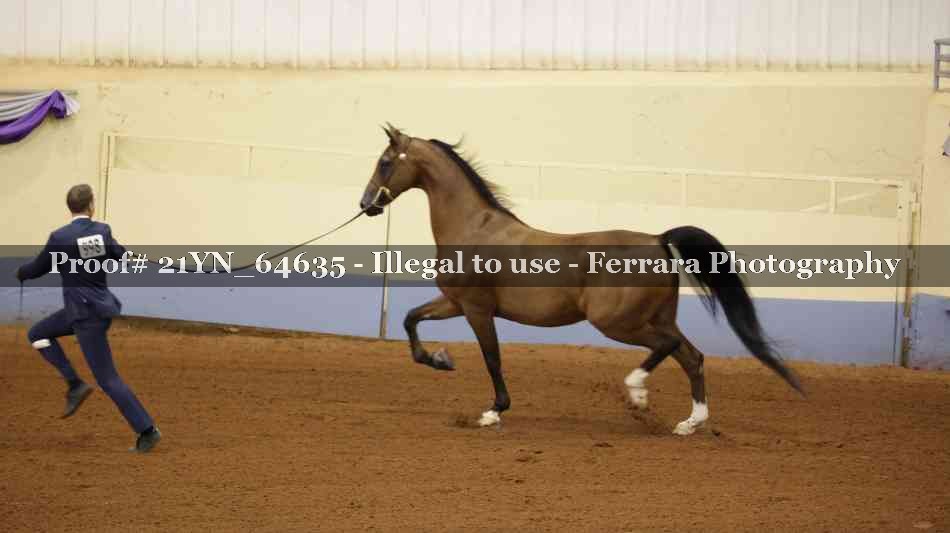 Proof 21YN_64635