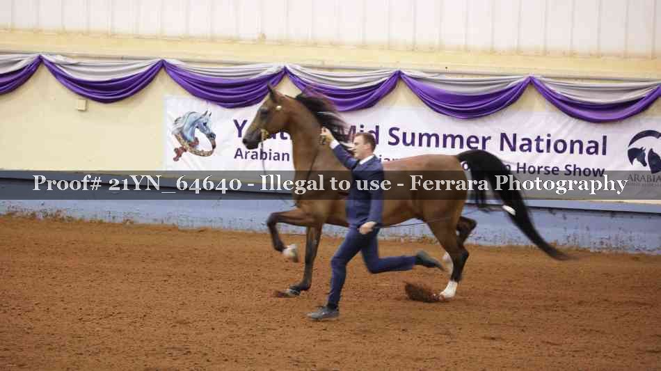 Proof 21YN_64640