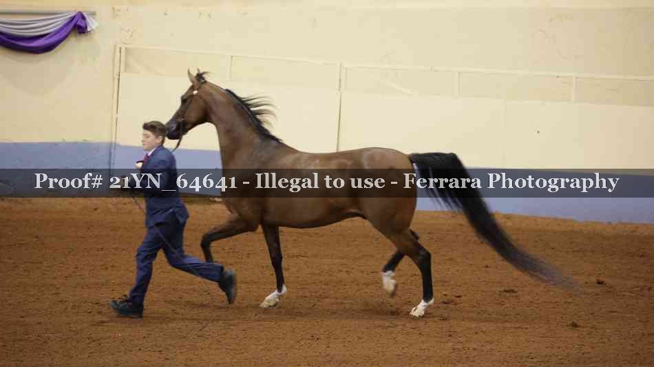 Proof 21YN_64641