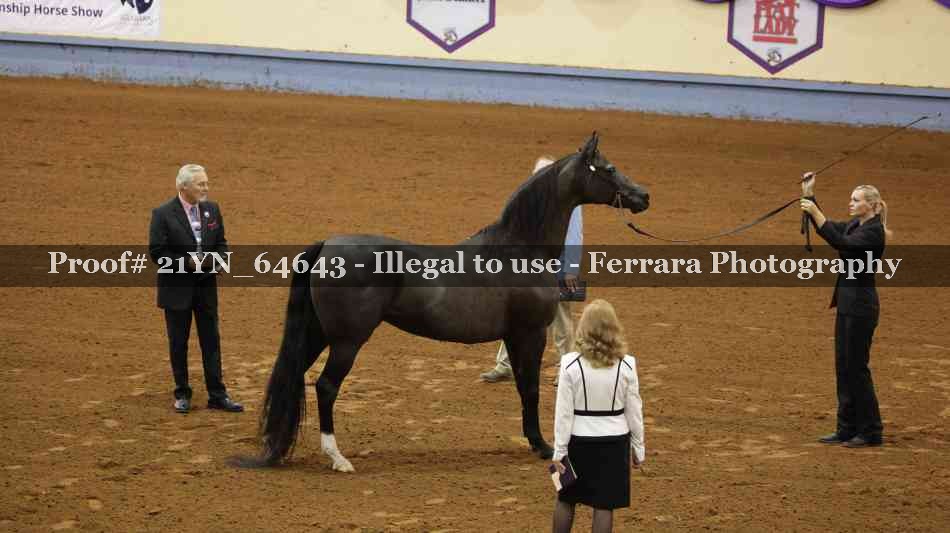 Proof 21YN_64643