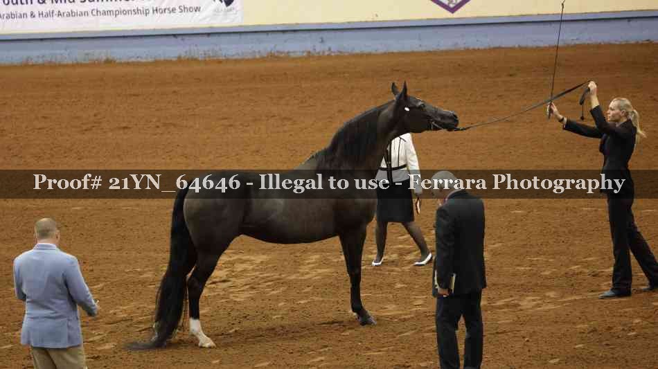 Proof 21YN_64646