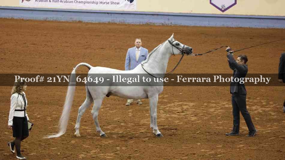 Proof 21YN_64649