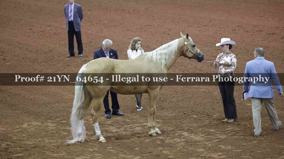 Proof 21YN_64654