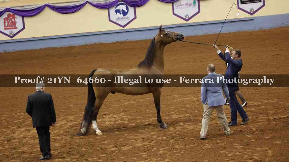 Proof 21YN_64660