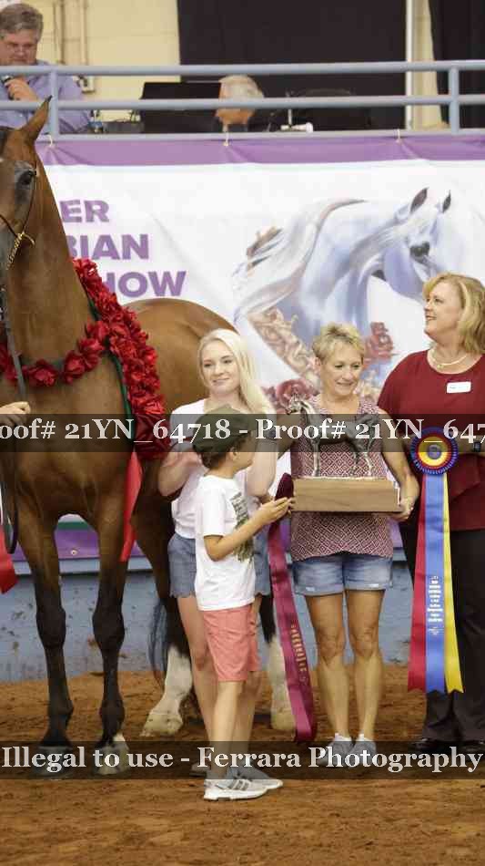 Proof 21YN_64718