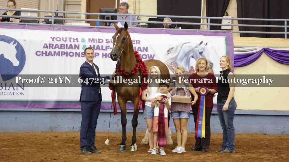 Proof 21YN_64723