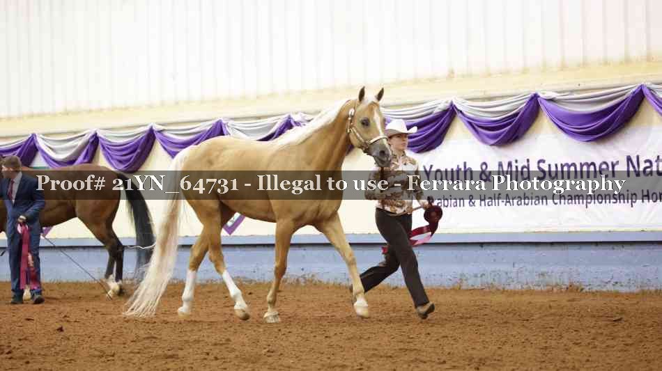 Proof 21YN_64731