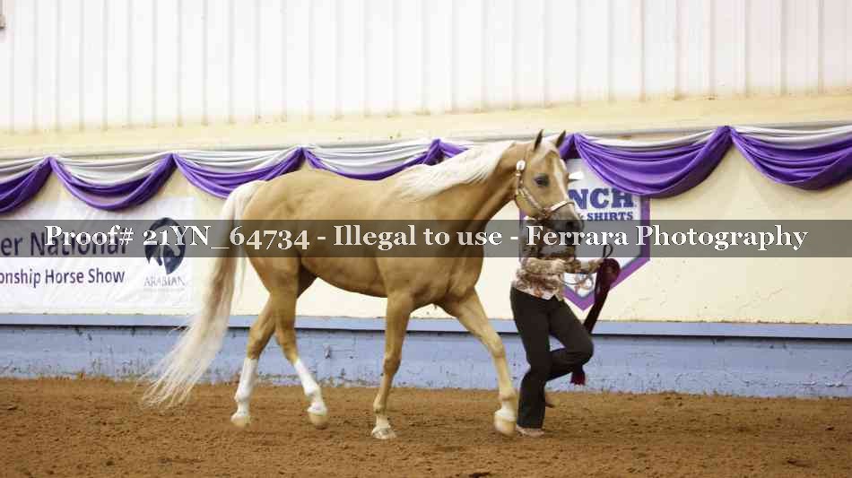 Proof 21YN_64734