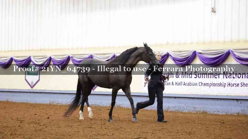 Proof 21YN_64739