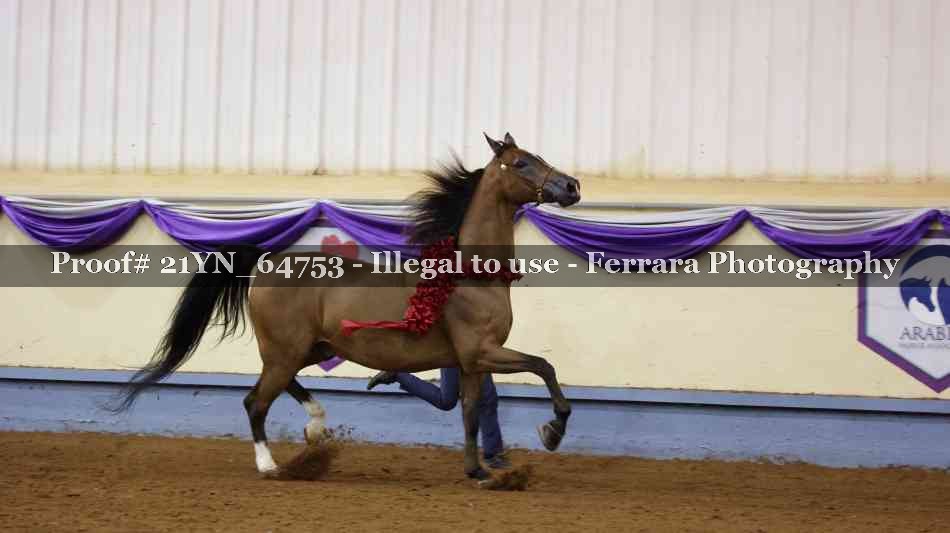 Proof 21YN_64753