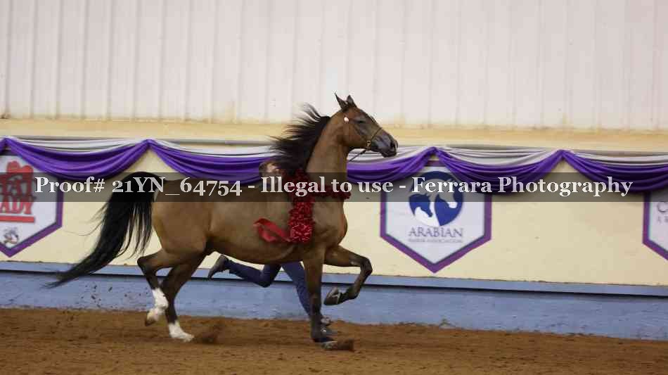 Proof 21YN_64754