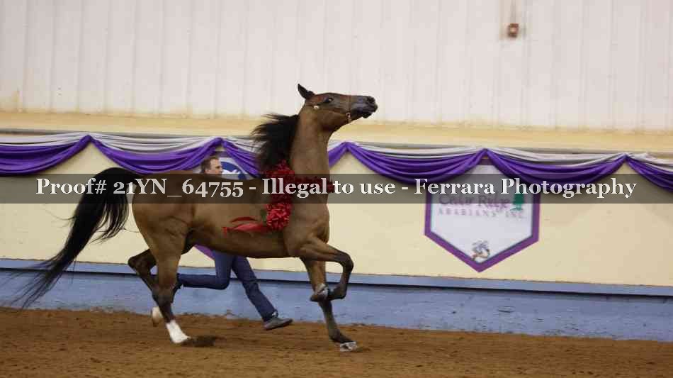 Proof 21YN_64755