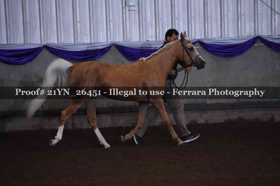Proof 21YN_26451