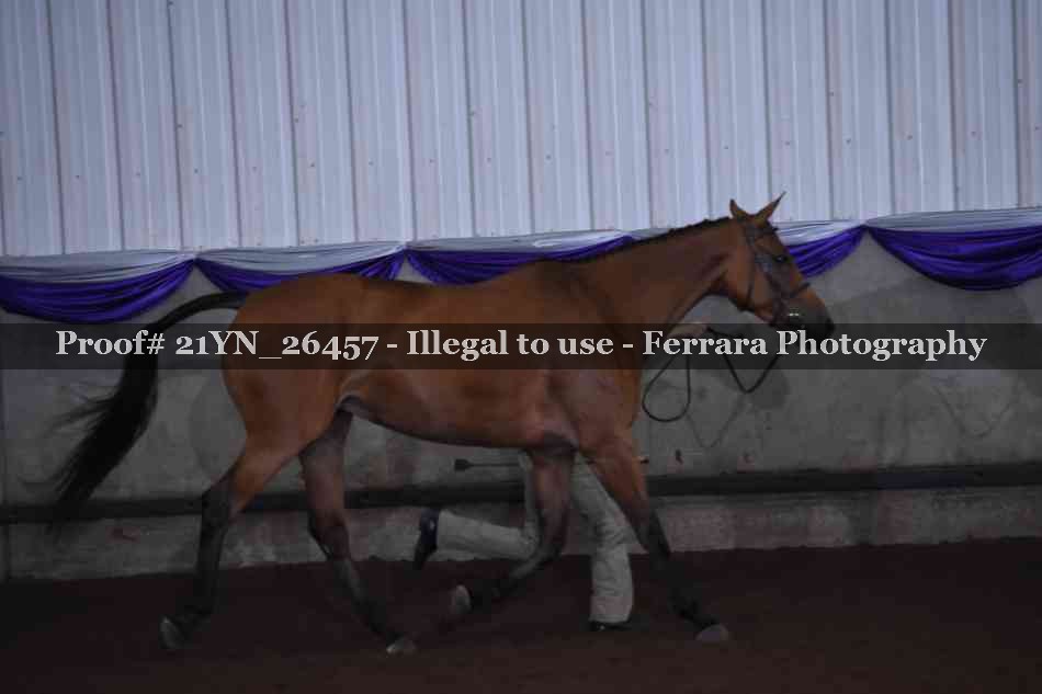 Proof 21YN_26457