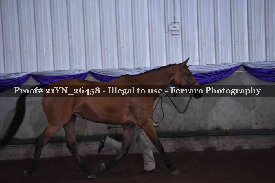 Proof 21YN_26458