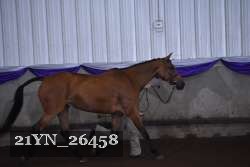 21YN_26458 proof