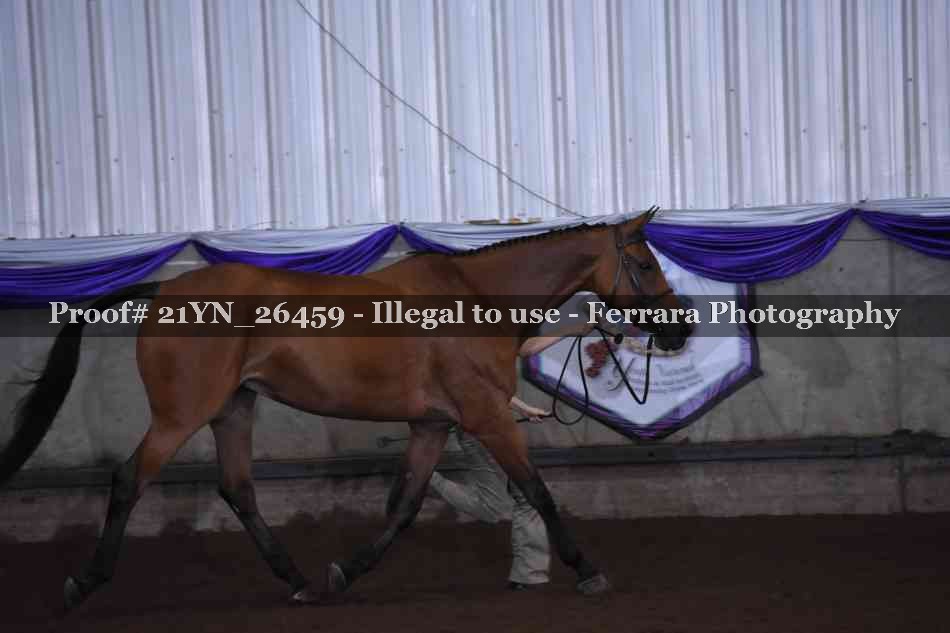 Proof 21YN_26459