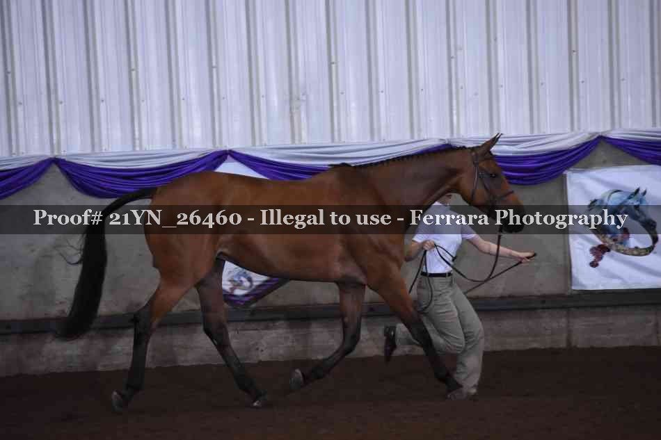 Proof 21YN_26460