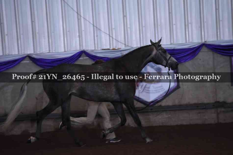 Proof 21YN_26465